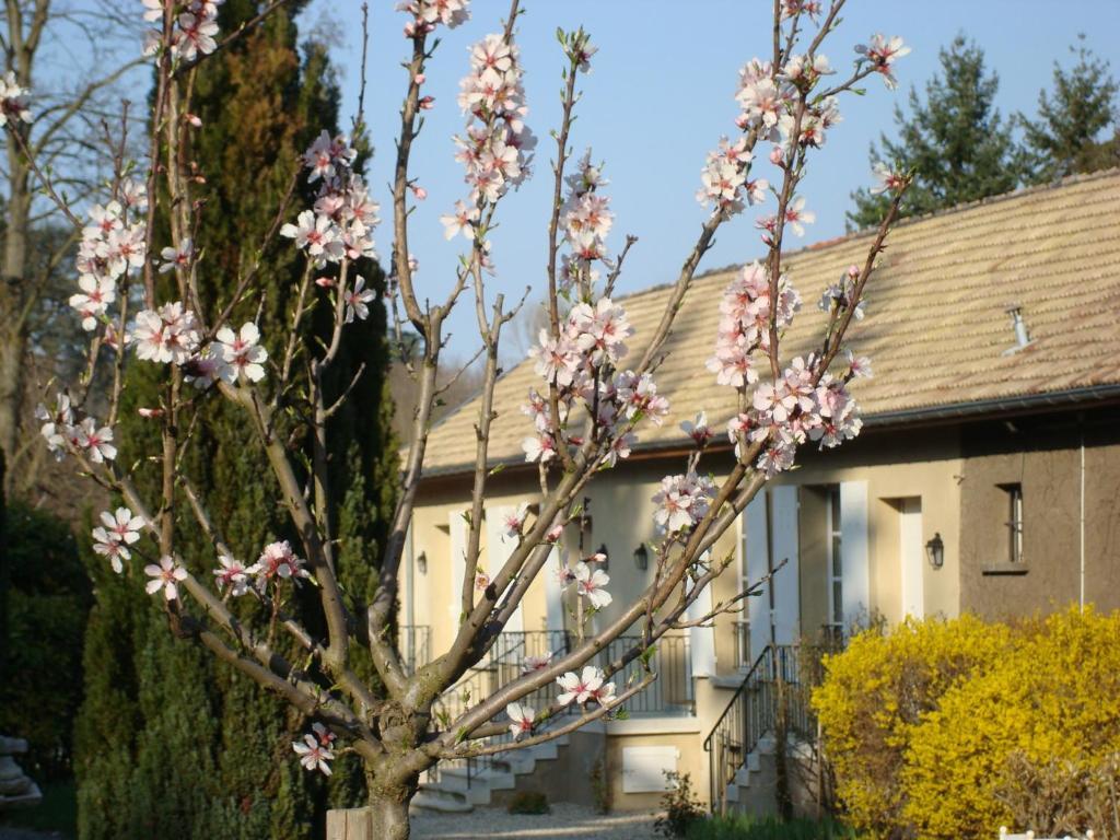 エキュリLes Communs Du Manoirアパートメント エクステリア 写真